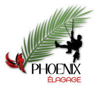 Logo Phoenix Elagage
